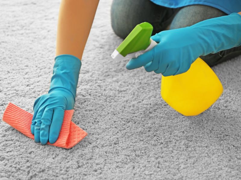 Carpet Cleaning and Restoration